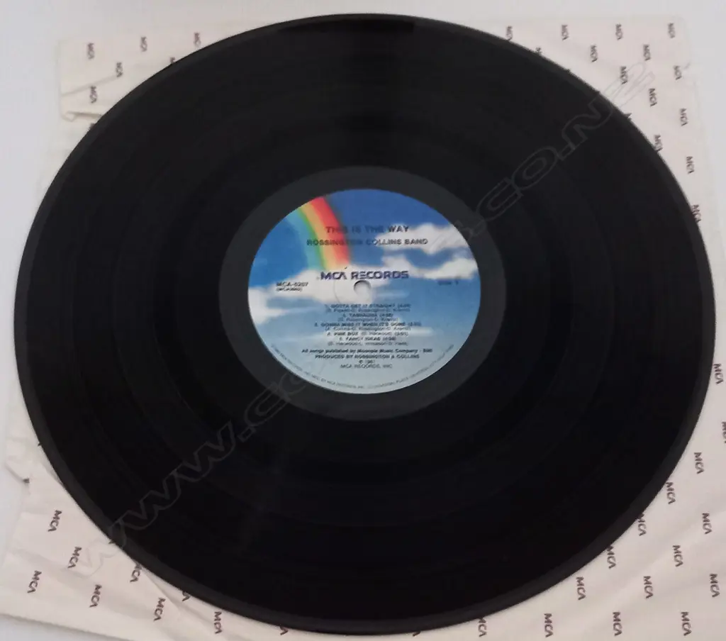 Rossington Collins Band, This Is The Way Image 1++